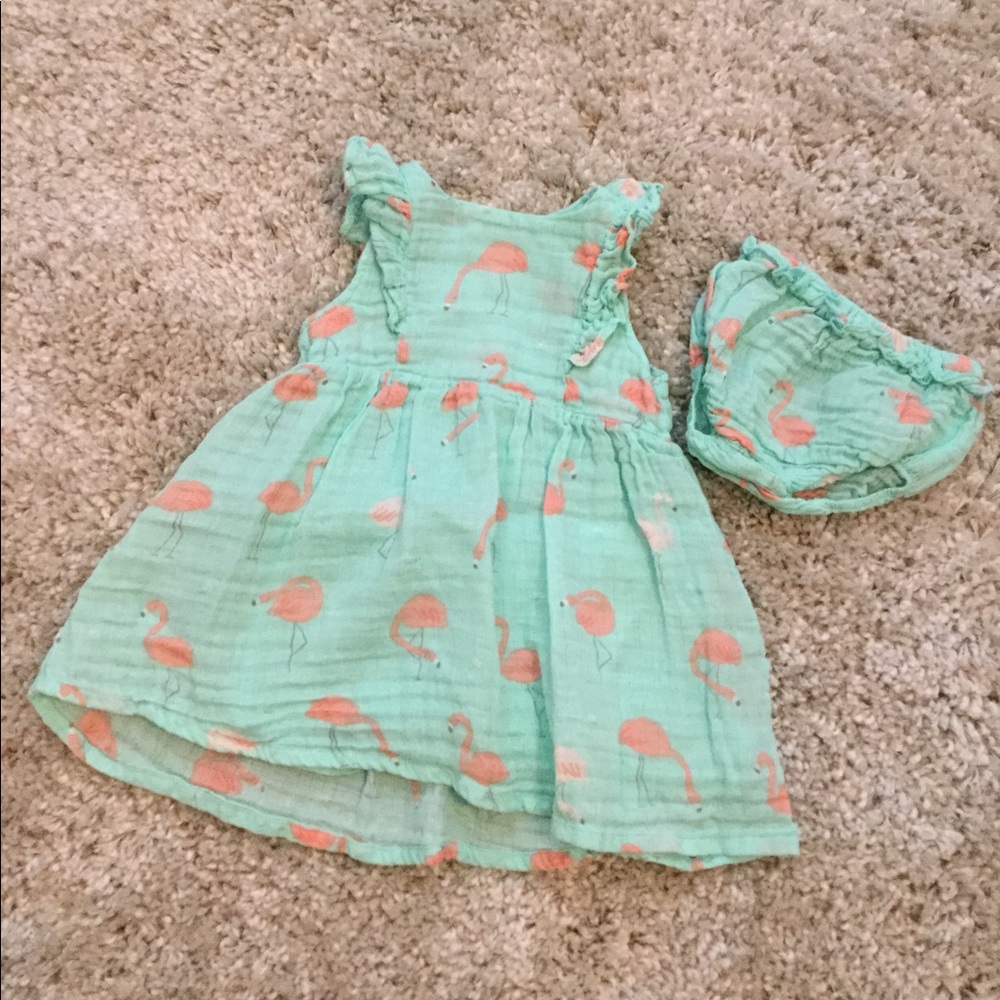 Flamingo Dress + Bloomers